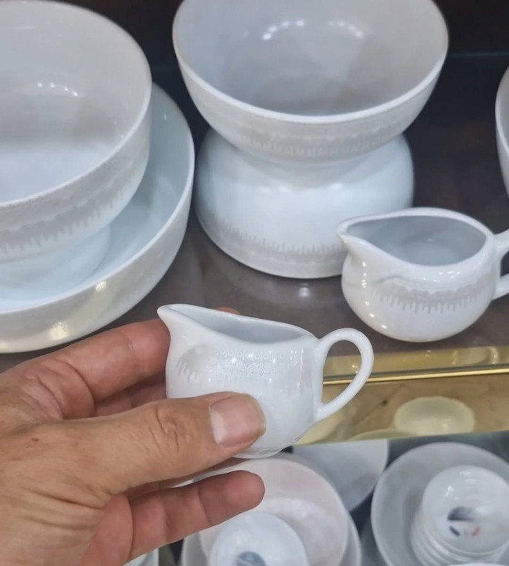 سرویس آرکوپال 42 پارچه مقصود طرح چینی رجینا خاکستری